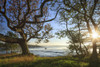 Boat on the River Daugleddau at Lawrenny. Poster Print by Loop Images Ltd. (18 x 12)