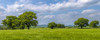 View over arable fields in South Derbyshire. Poster Print by Loop Images Ltd. (24 x 9)