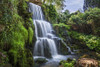 The waterfall known as the Cascade on the Bowood Estate in Wiltshire in summer. Poster Print by Loop Images Ltd. (18 x 12)