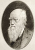 Charles Robert Darwin, 1809 - 1882.  English naturalist, geologist and biologist.  Illustration by Gordon Ross, American artist and illustrator (1873-1946), from Living Biographies of Famous Men. Poster Print by Ken Welsh (12 x 17)