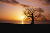 Lough Neagh, Ireland Poster Print by The Irish Image Collection (18 x 12)