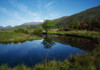 Upper Lough, Killarney, County Kerry, Ireland Poster Print by The Irish Image Collection (18 x 12)