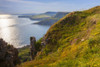 Wild flowers growing along the Jurassic coast. Poster Print by Loop Images Ltd. (18 x 12)