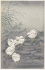 Five Chicks, by Japanese artist Ohara Koson, 1877 - 1945.  Ohara Koson was part of the shin-hanga, or new prints movement. Poster Print by Ken Welsh (12 x 19)