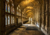 The cloisters of Gloucester Cathedral. Poster Print by Loop Images Ltd. (18 x 13)
