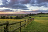 Fields used for grazing pedigree horses near Trellech. Poster Print by Loop Images Ltd. (20 x 13)