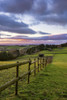 Fields used for grazing pedigree horses near Trellech. Poster Print by Loop Images Ltd. (13 x 20)