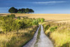 Storm clouds brewing over the Ridgeway long distance path in Wiltshire. Poster Print by Loop Images Ltd. (18 x 12)