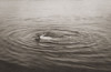 French artist Toulouse-Lautrec swimming in the Bassin d'Arcachon in 1896. Photograph taken by his friend photographer Maurice Guibert. Henri de Toulouse Lautrec, 1864-1901. Maurice Guibert, 1856-1913. Poster Print by Ken Welsh (17 x 11)