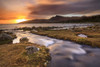 A stream at Loch Buie on the Isle of Mull. Poster Print by Loop Images Ltd. (20 x 13)