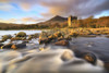 Moy Castle on Loch Buie captured shortly before sunset. Poster Print by Loop Images Ltd. (20 x 13)