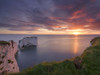 Sunrise at Old Harry Rocks. Poster Print by Loop Images Ltd. (18 x 14)