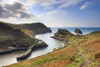 The South West Coast Path at Boscastle Harbour. Poster Print by Loop Images Ltd. (19 x 13)