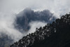 Clouds shroud the rugged mountains with silhouetted trees lining the mountainside in the foreground, viewed from the Sacred Valley of the Incas, north of Cuzco; Peru Poster Print by Michael Melford (17 x 11)