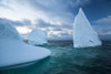 Icebergs in Gerlache Strait; Antarctica Poster Print by Michael Melford (17 x 11)