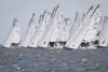 J-70 sailboats on the starting line of a regatta on the Chesapeake Bay near Annapolis, Maryland.; Chesapeake Bay, Maryland. Poster Print by Skip Brown (17 x 11)