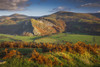 Craig yr Aderyn in the Dysynni Valley. Poster Print by Loop Images Ltd. (18 x 12)