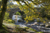 Clapper bridge at Dartmeet on Dartmoor. Poster Print by Loop Images Ltd. (17 x 11)