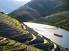 Cruising past vineyards in the idyllic Douro Valley of Portugal. Poster Print by Loop Images Ltd. (17 x 12)