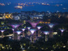 Overview by night of the Gardens by the Bay in Singapore. Poster Print by Loop Images Ltd. (17 x 12)