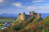Harlech Castle. Poster Print by Loop Images Ltd. (18 x 12)