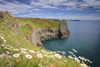 Spring flowers at Lydstep with Caldey Island in the background. Poster Print by Loop Images Ltd. (18 x 12)