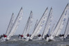 A fleet of J70 Sailboats during a race on the Chesapeake Bay near Annapolis, Maryland.; Chesapeake Bay, Maryland. Poster Print by Skip Brown (17 x 11)