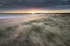 Sunrise over the dunes on a summer morning. Poster Print by Loop Images Ltd. (20 x 13)
