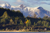 Mountains and autumn forests viewed from Lake Te Anau in the South Island of New Zealand. Poster Print by Loop Images Ltd. (17 x 11)