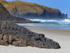 Allans Beach on New Zealand's North Island. Poster Print by Loop Images Ltd. (17 x 12)