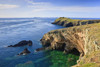 Wooltack Point Martins Haven. Poster Print by Loop Images Ltd. (18 x 12)