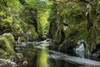 The Fairy Glen and River Conwy near Betws y coed in Snowdonia. Poster Print by Loop Images Ltd. (20 x 13)