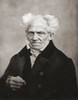 Arthur Schopenhauer, 1788 - 1860. German philosopher. Poster Print by Ken Welsh (12 x 15)