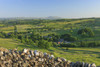 Overview of countryside near Malham. Poster Print by Loop Images Ltd. (18 x 12)