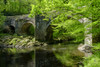 Holne Bridge on the River Dart. Poster Print by Loop Images Ltd. (20 x 13)