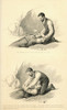 Restoration of the apparently drowned or suffocated.  From The Household Physician, published c.1898. Poster Print by Ken Welsh (11 x 18)