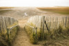 An empty beach at Holkham in Norfolk. Poster Print by Loop Images Ltd. (17 x 11)
