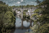 Bridge over the river Nidd at Knaresborough in North Yorkshire. Poster Print by Loop Images Ltd. (17 x 11)