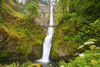 Multnomah Falls in Columbia River Gorge National Scenic Area; Oregon, United States of America Poster Print by Craig Tuttle (17 x 11)