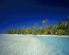 Palm trees line the white sand beach of an island with clear turquoise water and bright blue sky; Cook Islands Poster Print by Craig Tuttle (17 x 13)