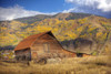 The famous Steamboat Barn (More Barn) with Autumn colored trees covering the mountainside; Steamboat Springs, Colorado, United States of America Poster Print by Ron Dahlquist (17 x 11)