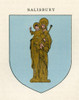 Coat of arms of the Diocese of Salisbury.  From Cathedrals, published 1926. Poster Print by Ken Welsh (12 x 15)