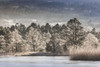 Frosted trees on Loch Garten in the Cairngorms National Park of Scotland. Poster Print by Loop Images Ltd. (17 x 11)