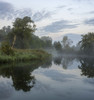 A misty morning beside the River Ant at How Hill. Poster Print by Loop Images Ltd. (15 x 16)