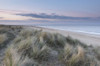 A view of the dunes and beach at Winterton on Sea. Poster Print by Loop Images Ltd. (20 x 13)