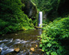 Upper Multnomah Falls in Columbia River Gorge; Oregon, United States of America Poster Print by Craig Tuttle (17 x 13)