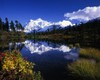 Autumn Foliage and Wildflowers Growing at the Edge of Picture Lake, Mount Baker-Snoqualmie National Forest in North Cascades National Park, Washington State, USA; Washington, United States of America Poster Print by Craig Tuttle (17 x 13)