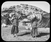 Magic lantern slide circa 1900.Victorian/Edwardian.Social History. An expidition in Cairo boys carrying their beds from base camp Poster Print by John Short (17 x 14)