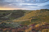 A view of the dunes at Winterton on Sea in Norfolk. Poster Print by Loop Images Ltd. (18 x 12)