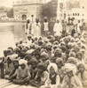 School boys of Amritsar at Golden Temple (Sri Harmandir Sahib) and the 'Pool of Immortality', Victorian stereoview card circa 1900; Amritsar, Punjab, India Poster Print by John Short (16 x 16)
